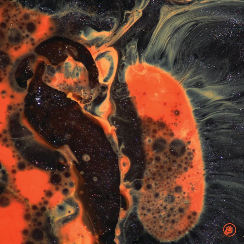 2026_05_08_2898025